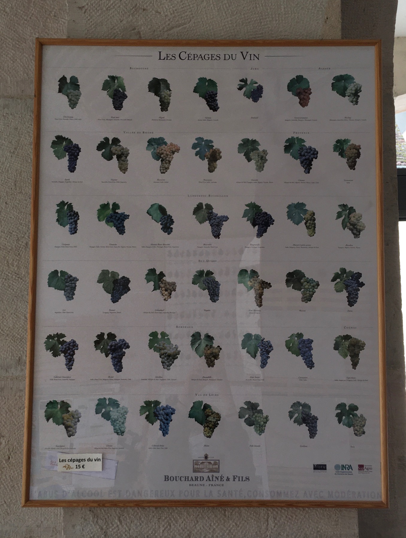 Poster “Les cépages du vin”