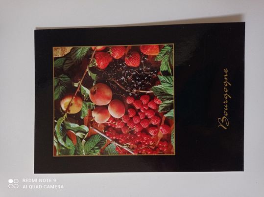 Carte postale rectangle Fruits