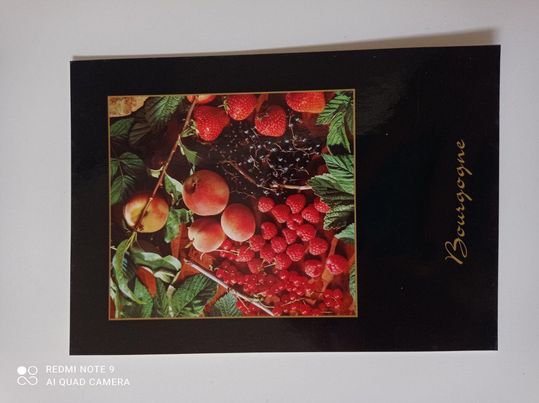 Carte postale – Fruits