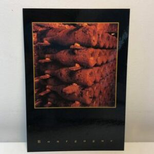 Carte postale - Caves de vieillissement