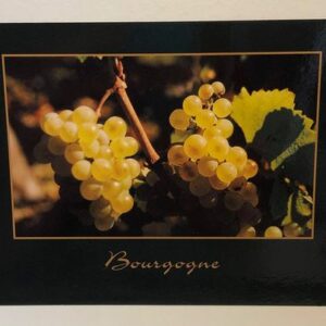 Carte postale - Chardonnay