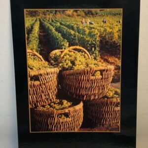Carte postale - Vendanges