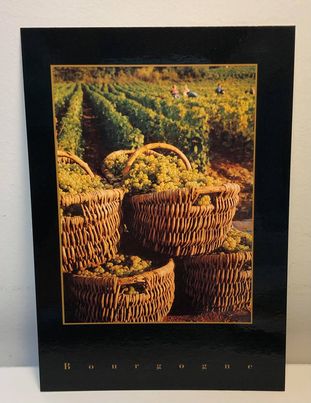 Carte postale – Vendanges