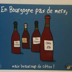 Carte postale "En Bourgogne pas de mers, mais beaucoup de côtes !"