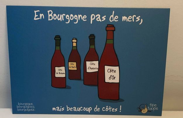 Carte postale « En Bourgogne pas de mers, mais beaucoup de côtes ! »