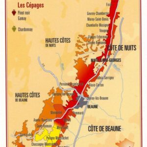 Carte postale - vins de bourgogne - région côte d'or