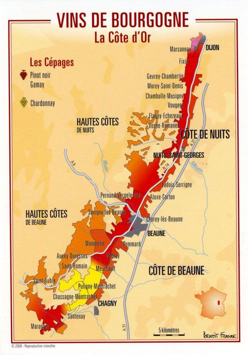 Carte postale Vins de Bourgogne