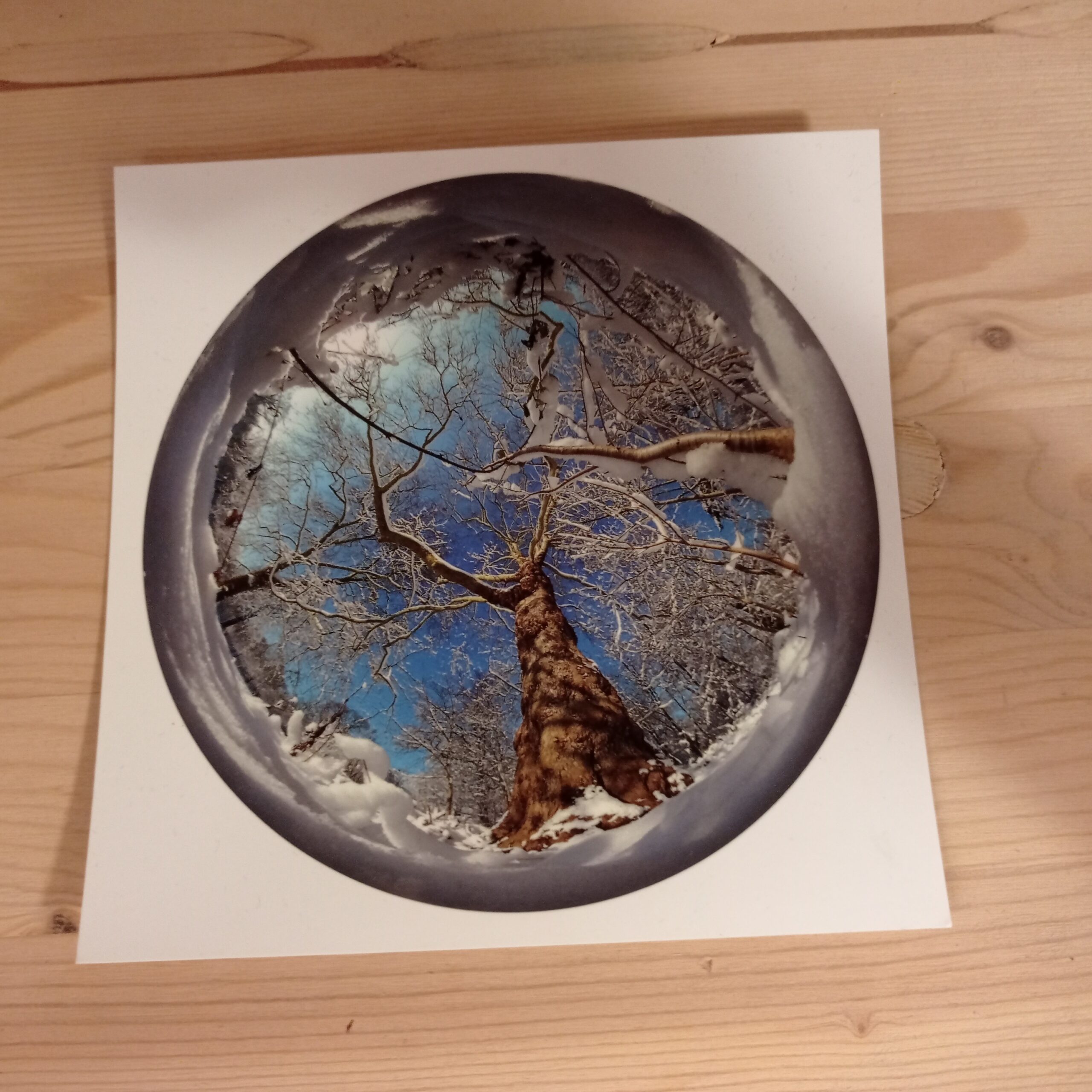 Carte postale – Neige (avec enveloppe)