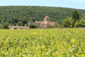 Visite guidée de Gevrey-Chambertin proposée par l'office de tourisme de Gevrey-Chambertin et Nuits-Saint-Georges