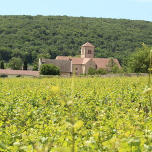 Visite guidée de Gevrey-Chambertin proposée par l'office de tourisme de Gevrey-Chambertin et Nuits-Saint-Georges