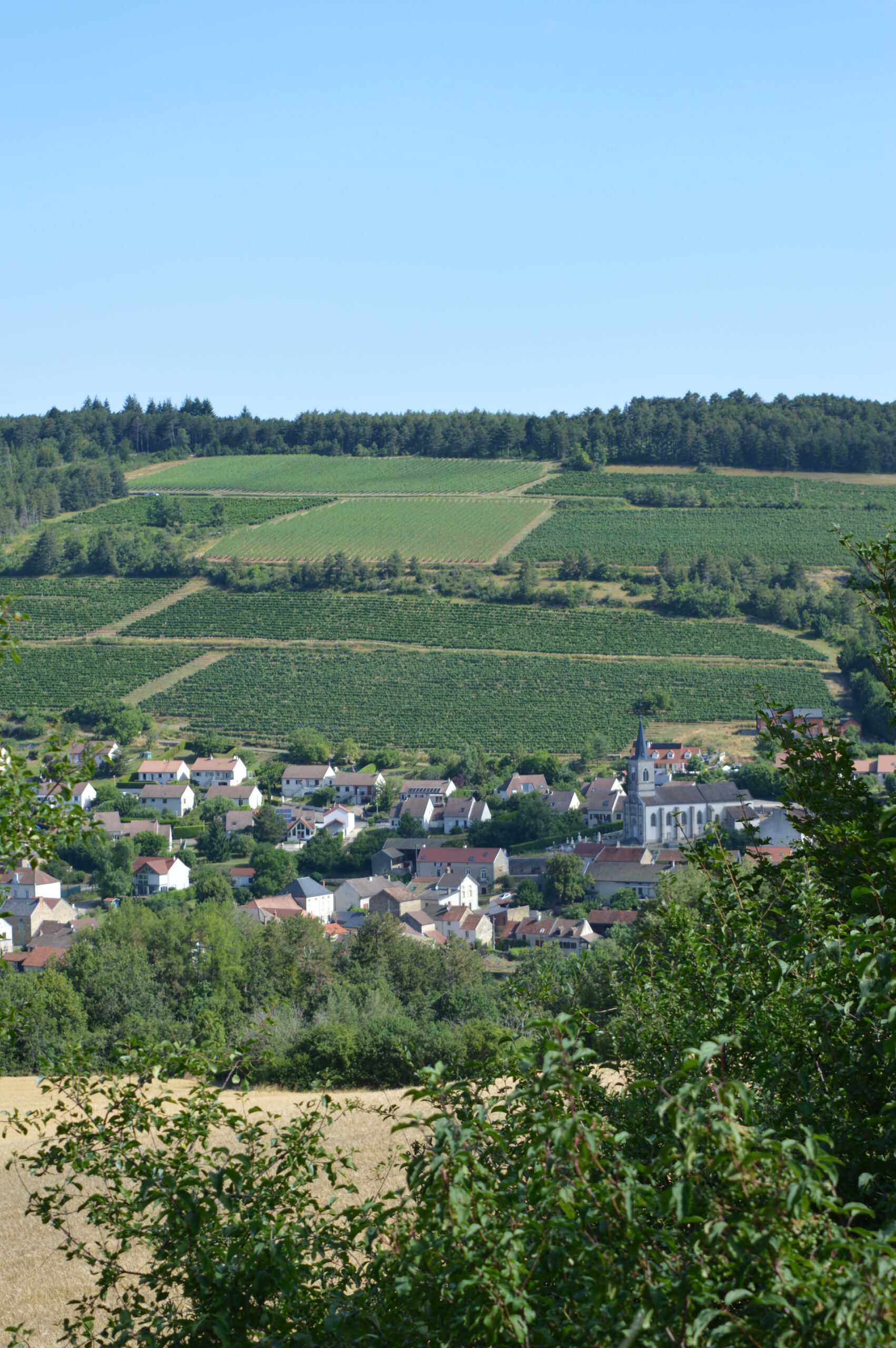 Un village, une rencontre « Arcenant »