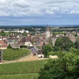 Visite guidée de Nuits-Saint-Georges
