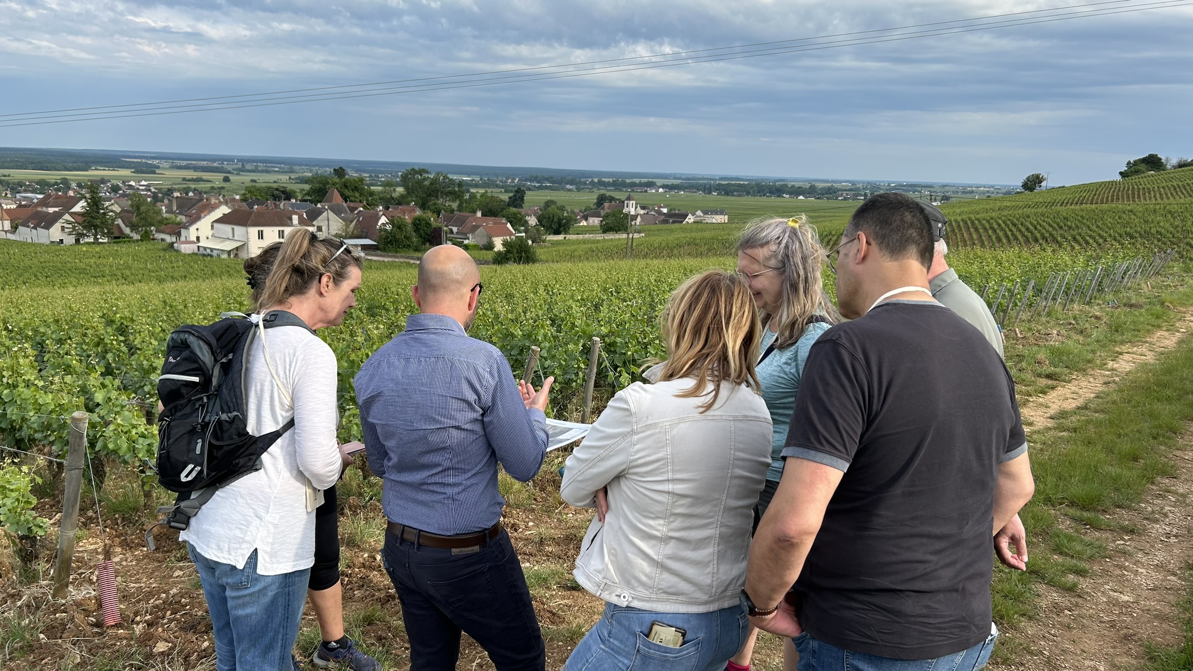 Des Vins de Carac’Terre 2025