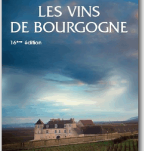 Les vins de Bourgogne Laurent Gotti et Sylvain Pitiot