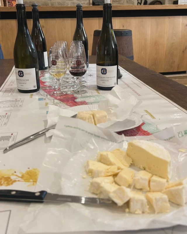 Vins et fromages 🍷 🧀 

C’est ce qu’on vous propose, @gevreynuitstourisme avec le @domainephilippegavignet, ce vendredi 16 mai, dès 10h.

Après avoir fait un tour sur le marché de la @ville_de_nuits_st_georges , nous achèterons ensemble un fromage et du pain, que nous dégusterons accompagnés des vins du domaine.

Élodie, vous partagera sa passion pour le métier de vigneron et de vous faire découvrir 4 de leurs vins accompagnés de fromage.

Alors ça va vous tente ?
Plus d’infos :
🗓️ Vendredi 16 mai - 10h
📍 Nuits-Saint-Georges
🎟️ 8€ / personne billetterie sur notre site web et en bio

Prenez vite vos places : 
https://www.gevreynuitstourisme.com/produit/nuits-gourmande/

____
L’abus d’alcool est dangereux pour la santé, à consommer avec modération 
____
#gevreynuitstourisme #vinsdebourgogne
