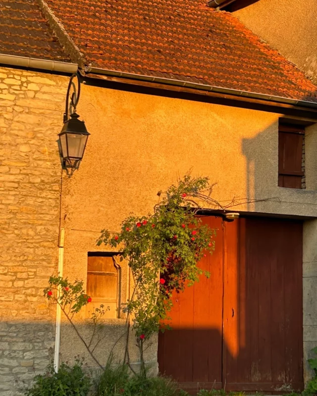Les lumières du coucher de soleil dans les rues du village de Reulle-Vergy dans les Hautes Côtes de Nuits 😍

#gevreynuitstourisme